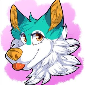 Meet your Posher, Mitro husky